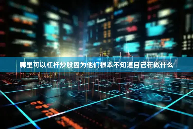哪里可以杠杆炒股因为他们根本不知道自己在做什么