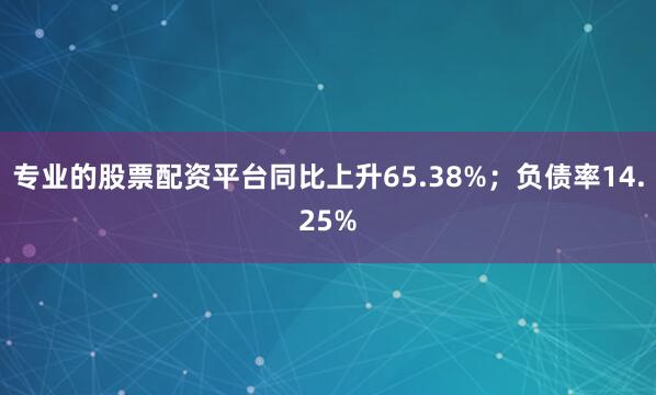 专业的股票配资平台同比上升65.38%；负债率14.25%
