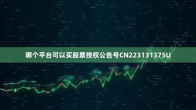 哪个平台可以买股票授权公告号CN223131375U
