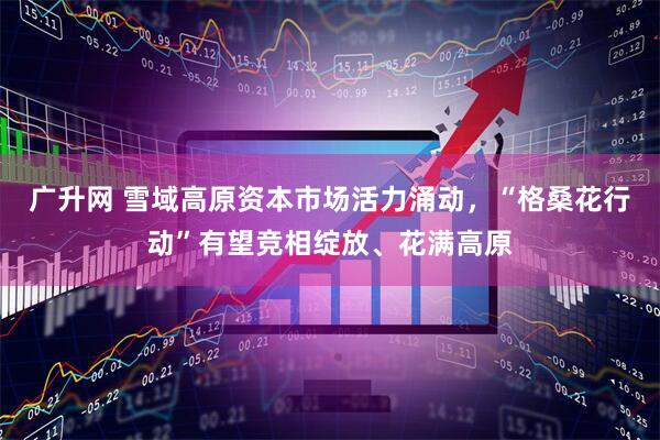 广升网 雪域高原资本市场活力涌动，“格桑花行动”有望竞相绽放、花满高原