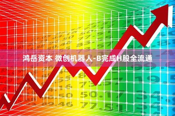 鸿岳资本 微创机器人-B完成H股全流通